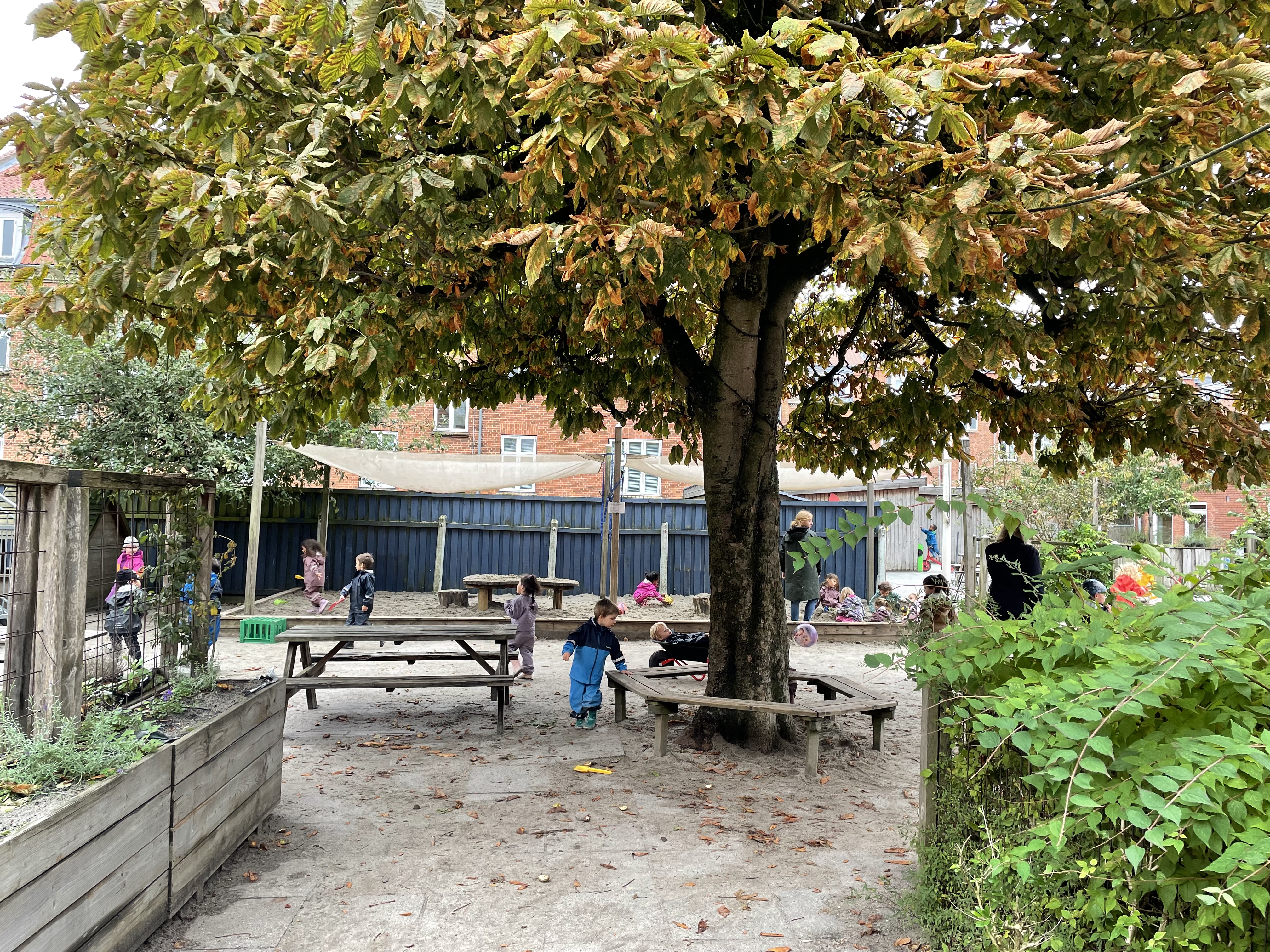 Børn på legepladsen